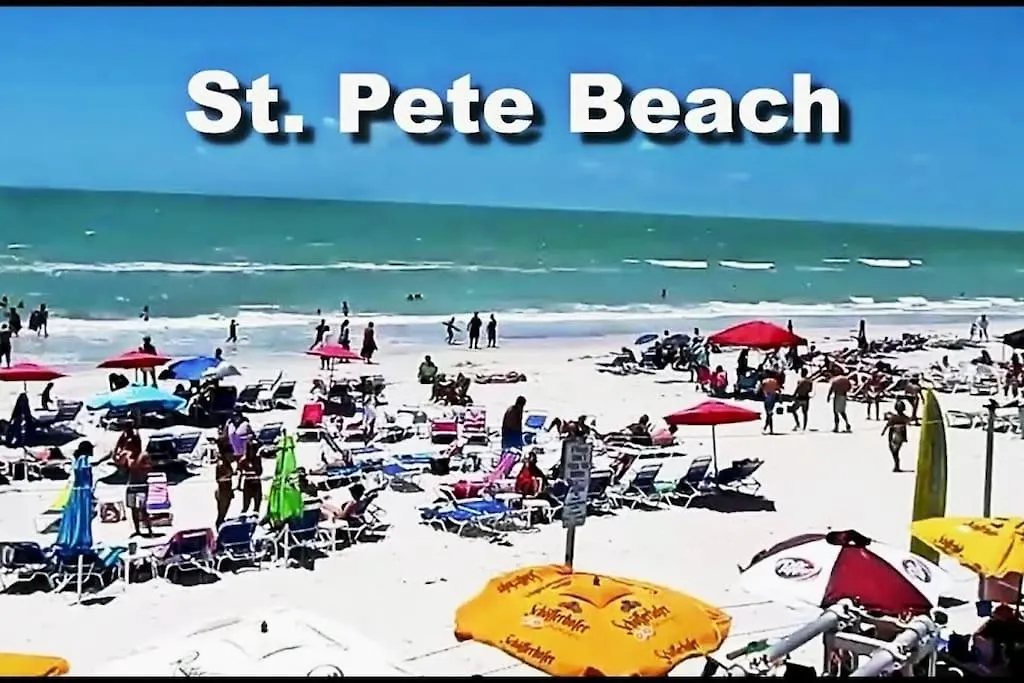 Appartamento Avalon Condo In Clearwater Minutes From Clearwater Beach